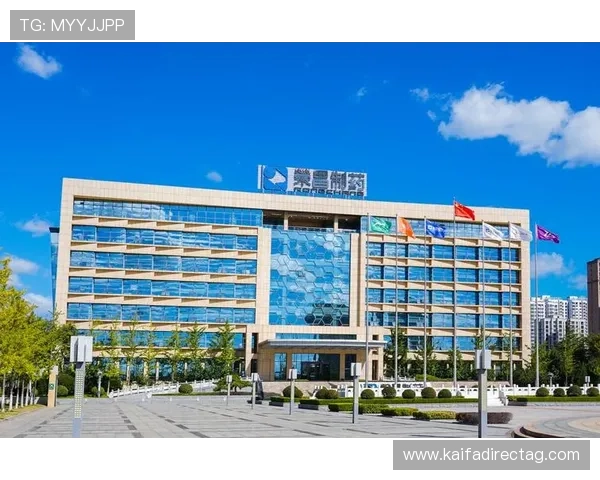 凯发K8旗舰厅登录线路最新优化方案助力玩家快速登录无障碍